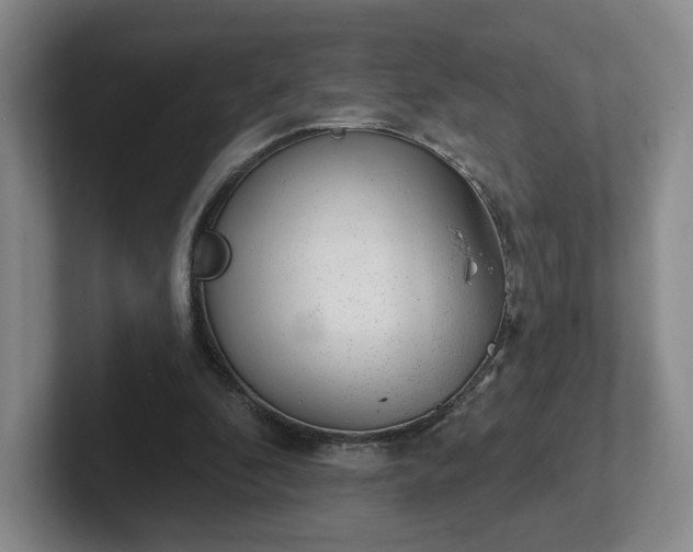 X0000102530296200808151601