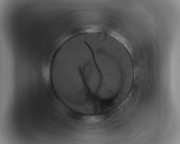 X0000102530297200808151601