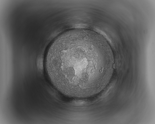 X0000102530299200808151601