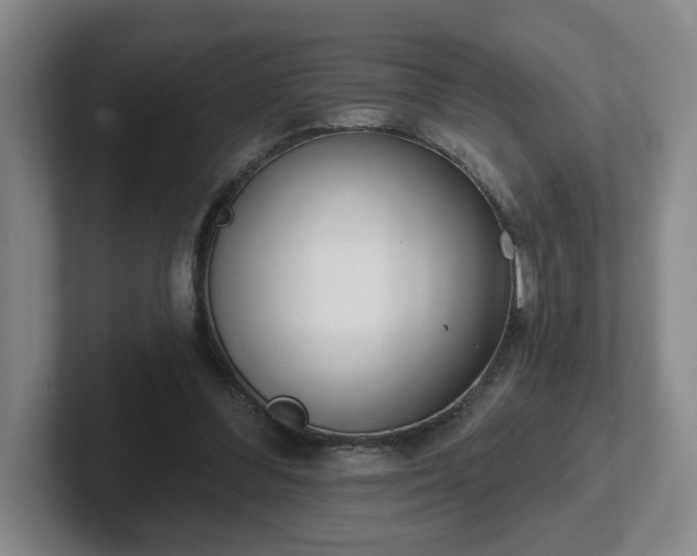 X0000102530300200808151601