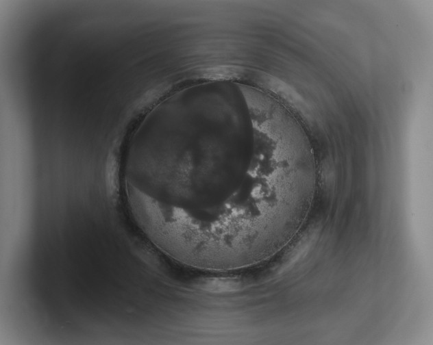 X0000102530303200808151601