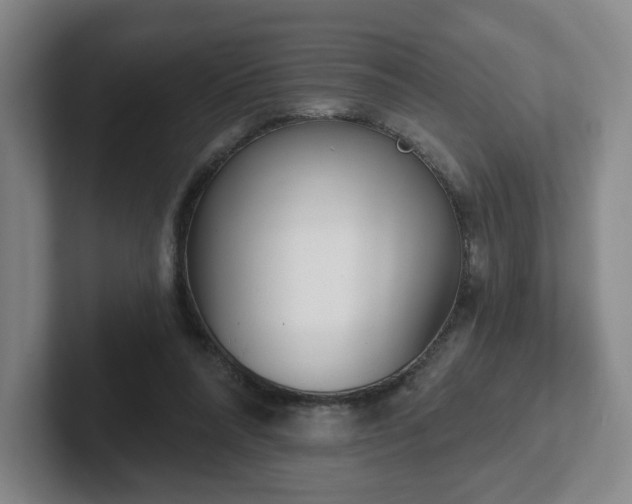 X0000102530304200808151601