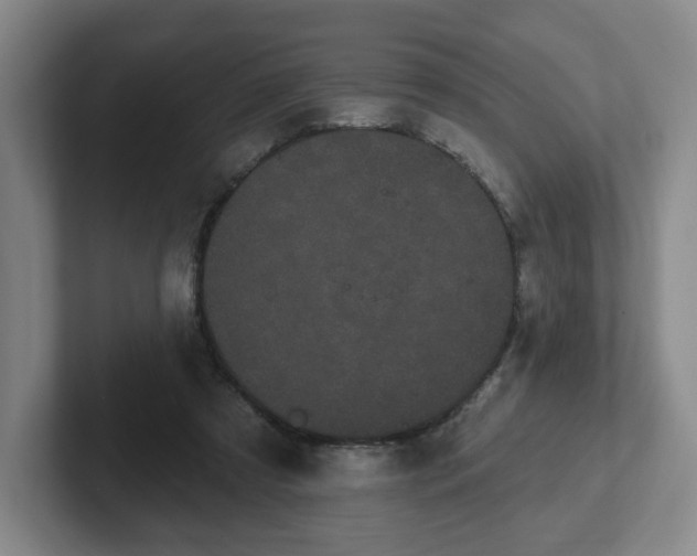 X0000102530305200808151601