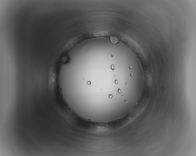 X0000102530308200808151601