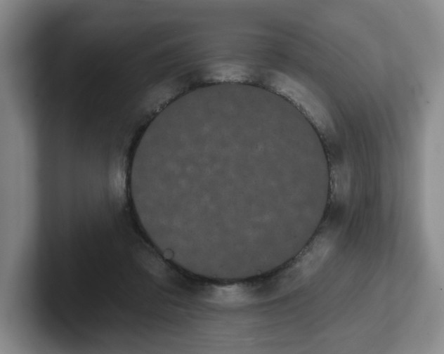 X0000102530309200808151601