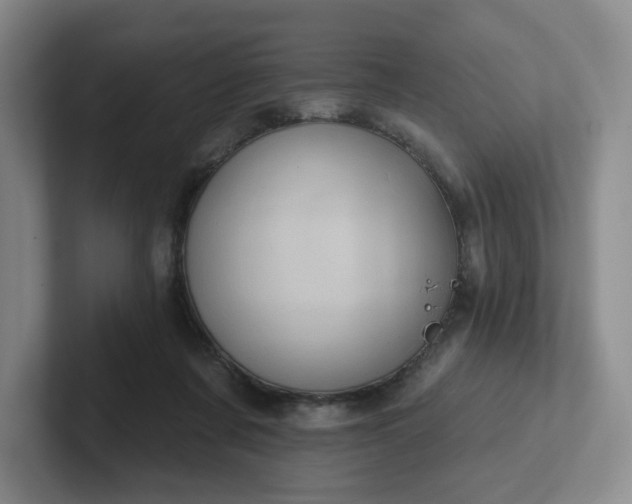 X0000102530311200808151601