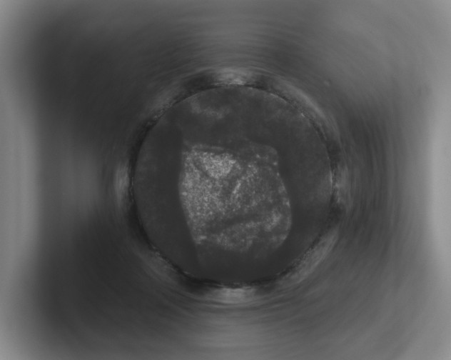 X0000102530314200808151601