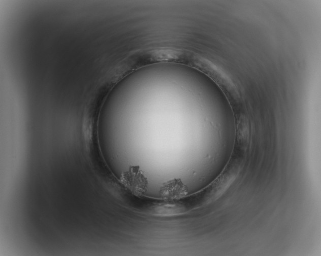 X0000102530315200808151601