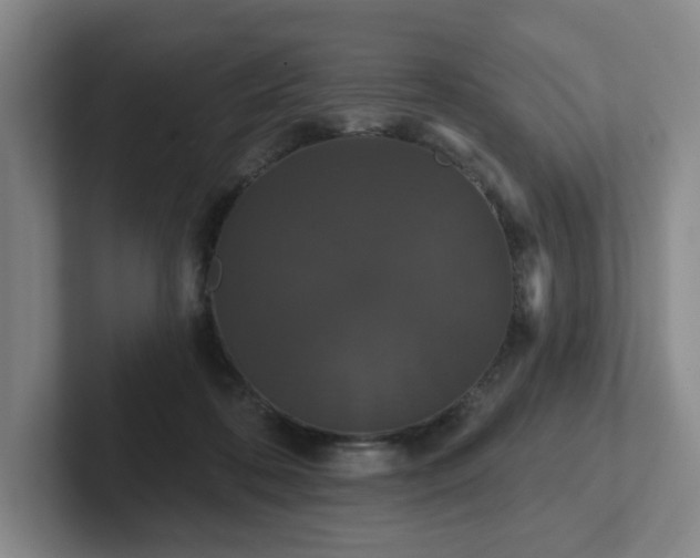 X0000102530316200808151601