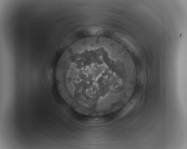 X0000102530319200808151601