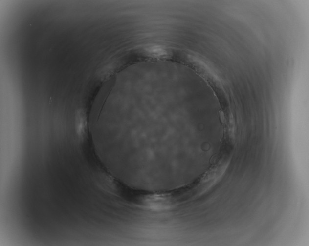 X0000102530320200808151601