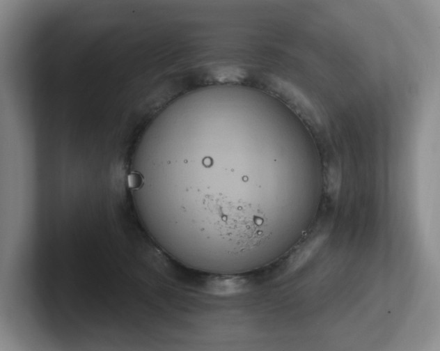 X0000102530321200808151601