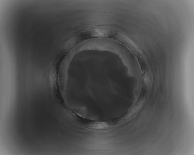 X0000102530322200808151601