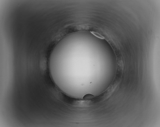 X0000102530323200808151601