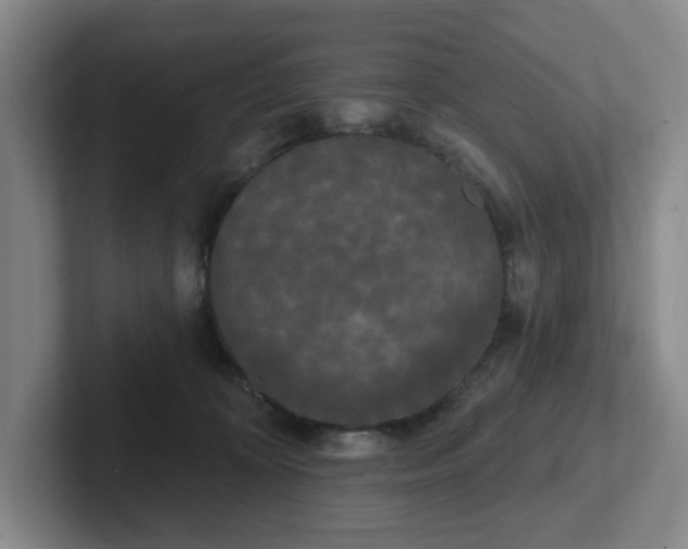 X0000102530324200808151601