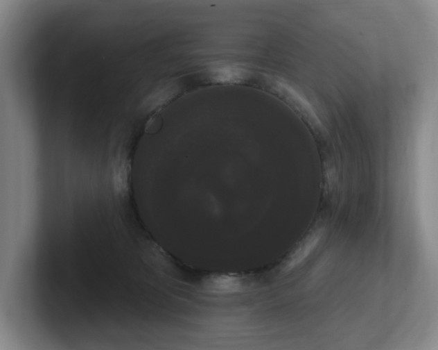 X0000102530325200808151601