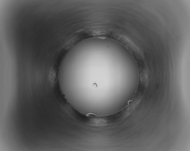 X0000102530327200808151601