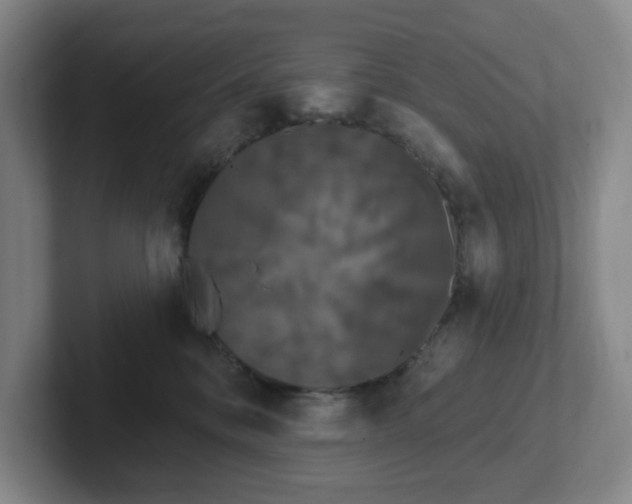 X0000102530328200808151601