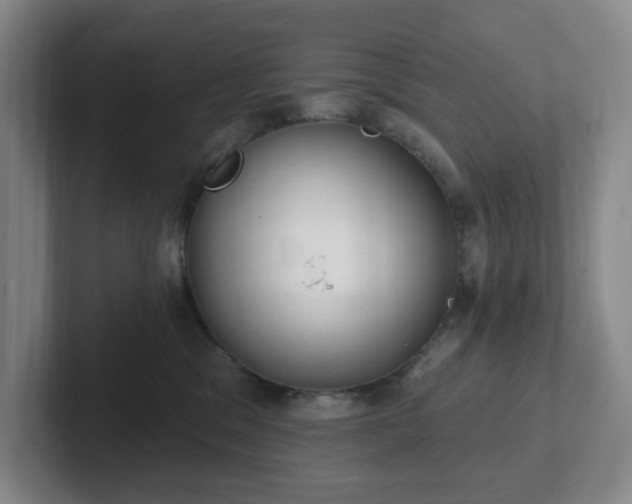 X0000102530329200808151601