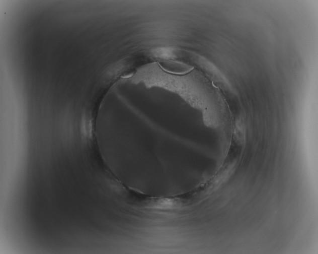 X0000102530330200808151601