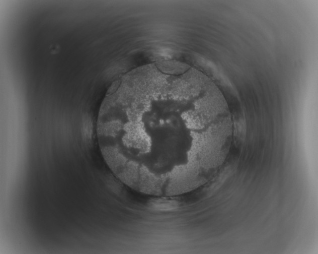 X0000102530331200808151601