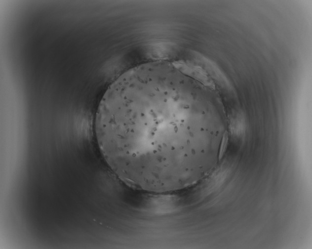 X0000102530332200808151601