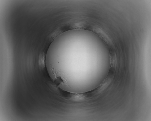 X0000102530334200808151601