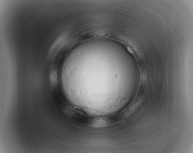 X0000102530335200808151601