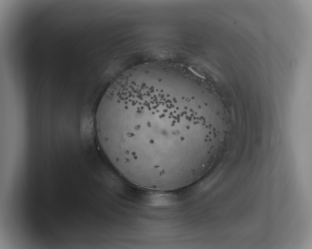 X0000102530336200808151601