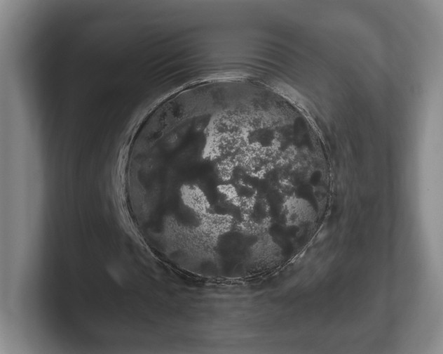 X0000102530337200808151600