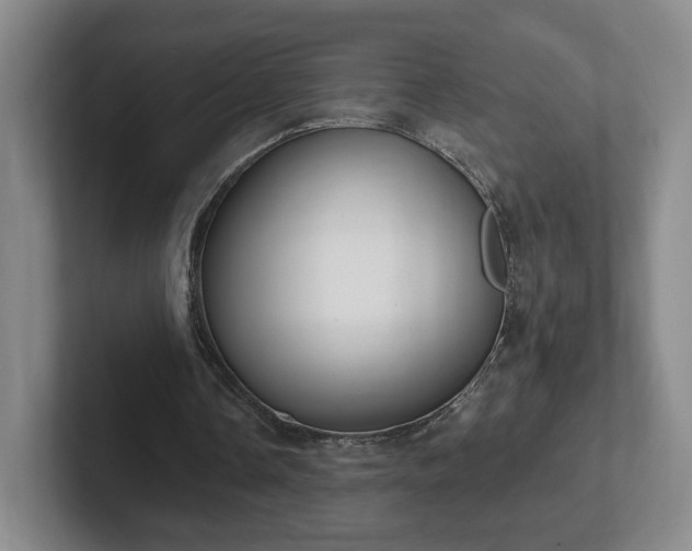 X0000102530338200808151600