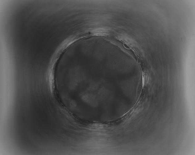 X0000102530339200808151600