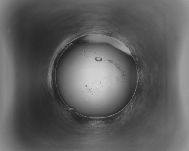 X0000102530340200808151600