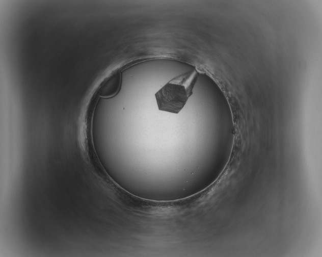 X0000102530342200808151600