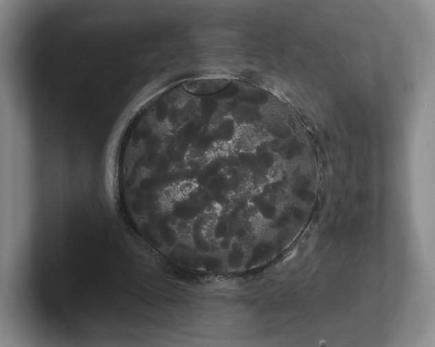 X0000102530343200808151600