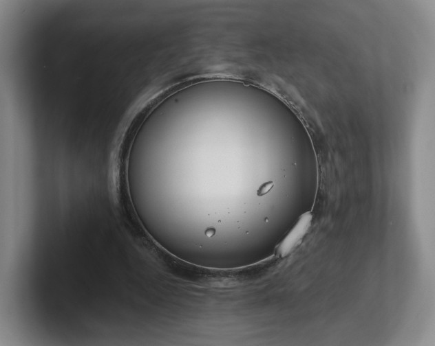 X0000102530344200808151600