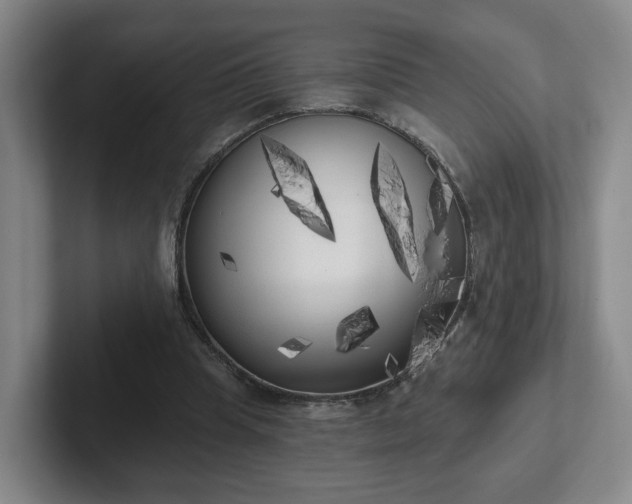 X0000102530345200808151600