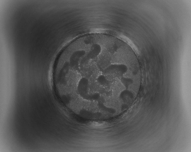 X0000102530346200808151600