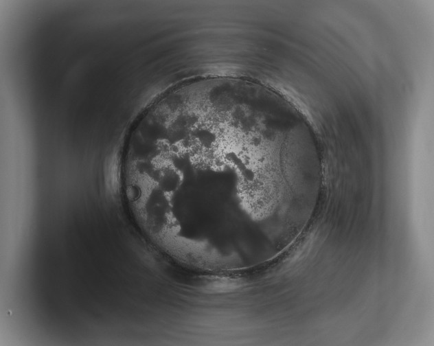 X0000102530347200808151600