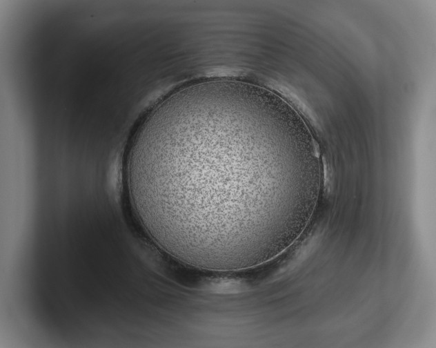 X0000102530348200808151600