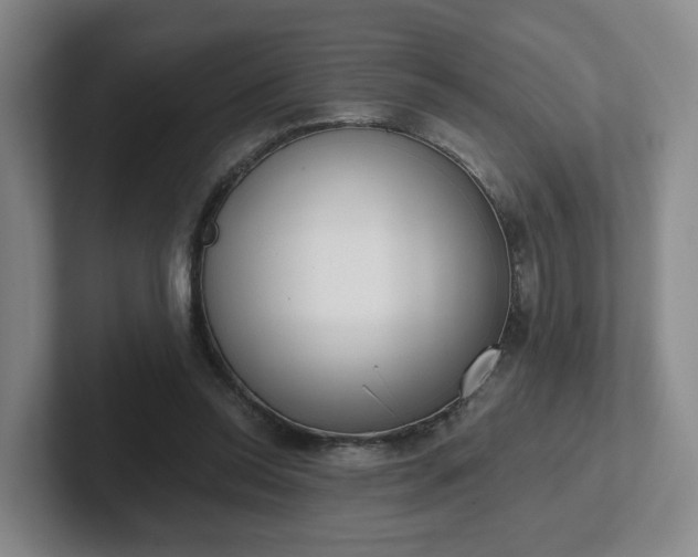 X0000102530350200808151600