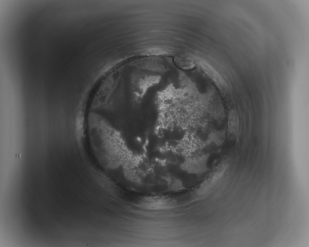 X0000102530351200808151600