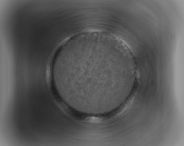 X0000102530352200808151600