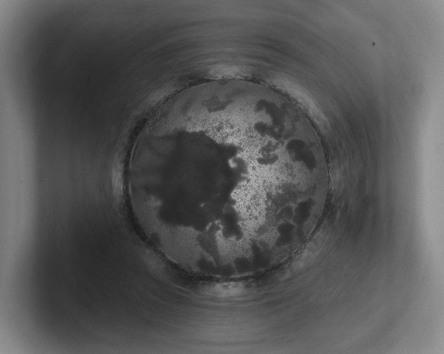 X0000102530353200808151600