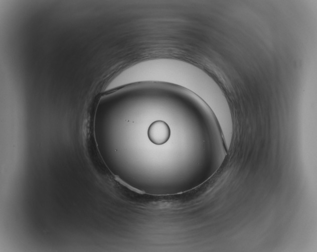 X0000102530356200808151600