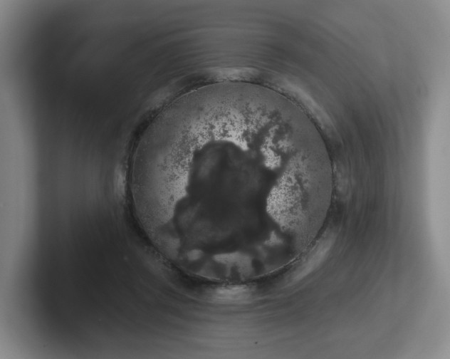 X0000102530357200808151600