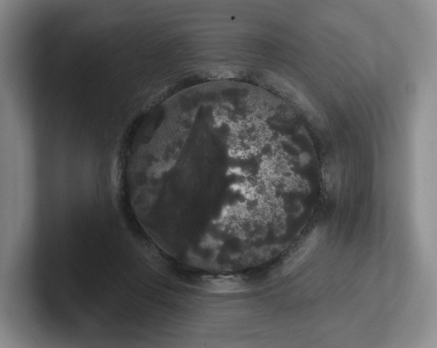 X0000102530359200808151600