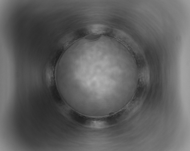 X0000102530360200808151600