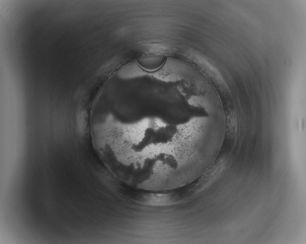 X0000102530361200808151600