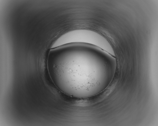 X0000102530362200808151600